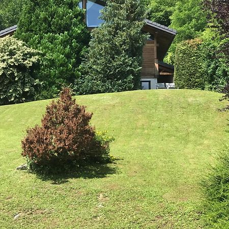 Appartement Sevrier Terrasse Et Jardin Экстерьер фото